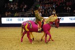 Quadrille - 00442